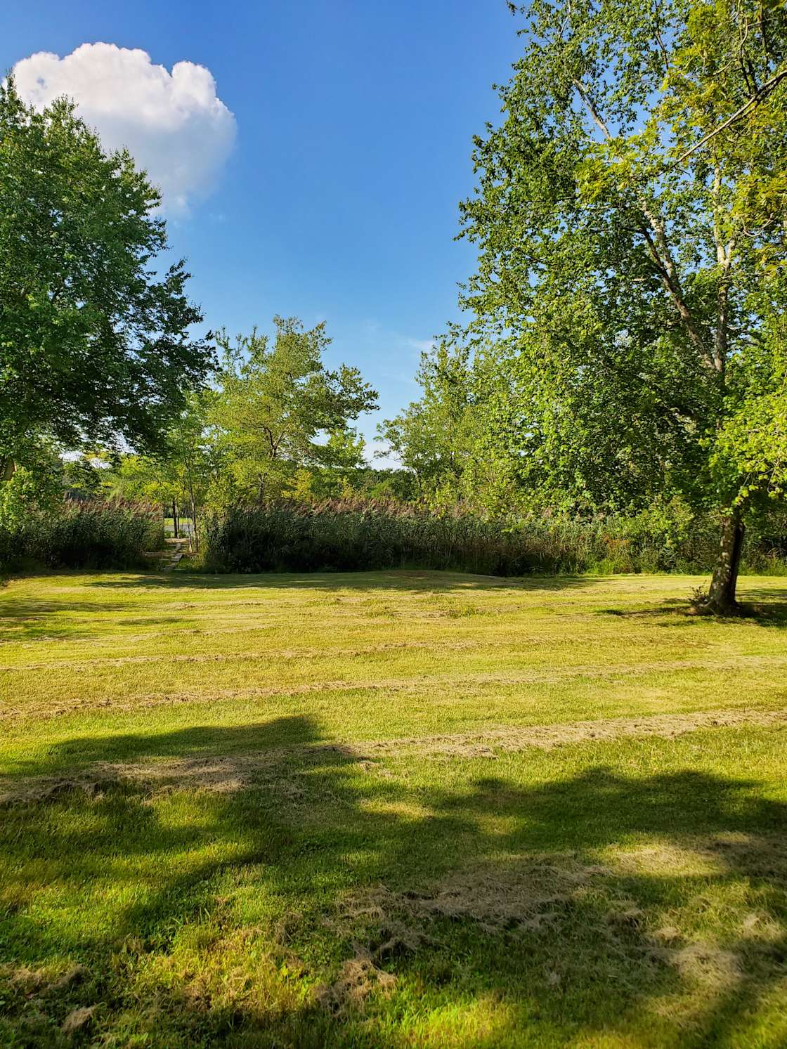 Peconic River Campgrounds Hipcamp in Calverton, New York