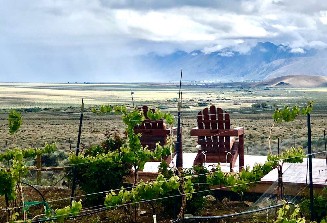 VintageTrailer Vineyard Hipcamp in Topaz Ranch Estates, Nevada