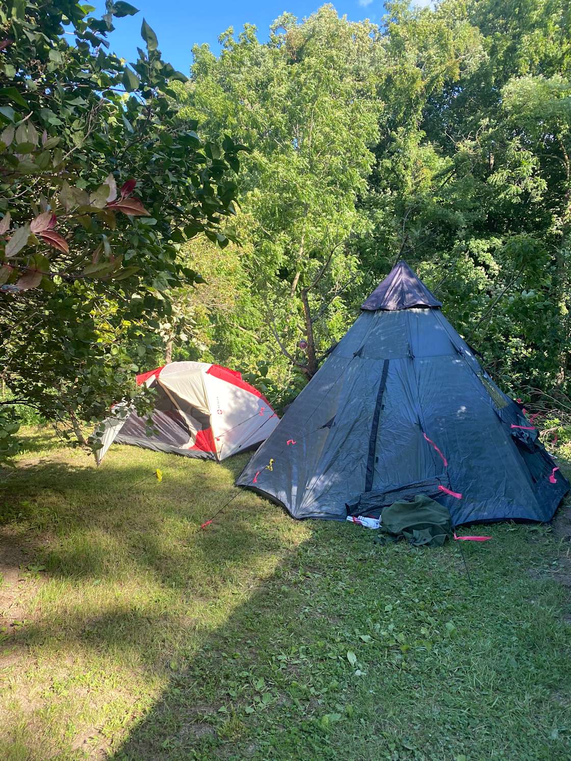 Wooded land w revene and brooke. Hipcamp in Ovid, New York