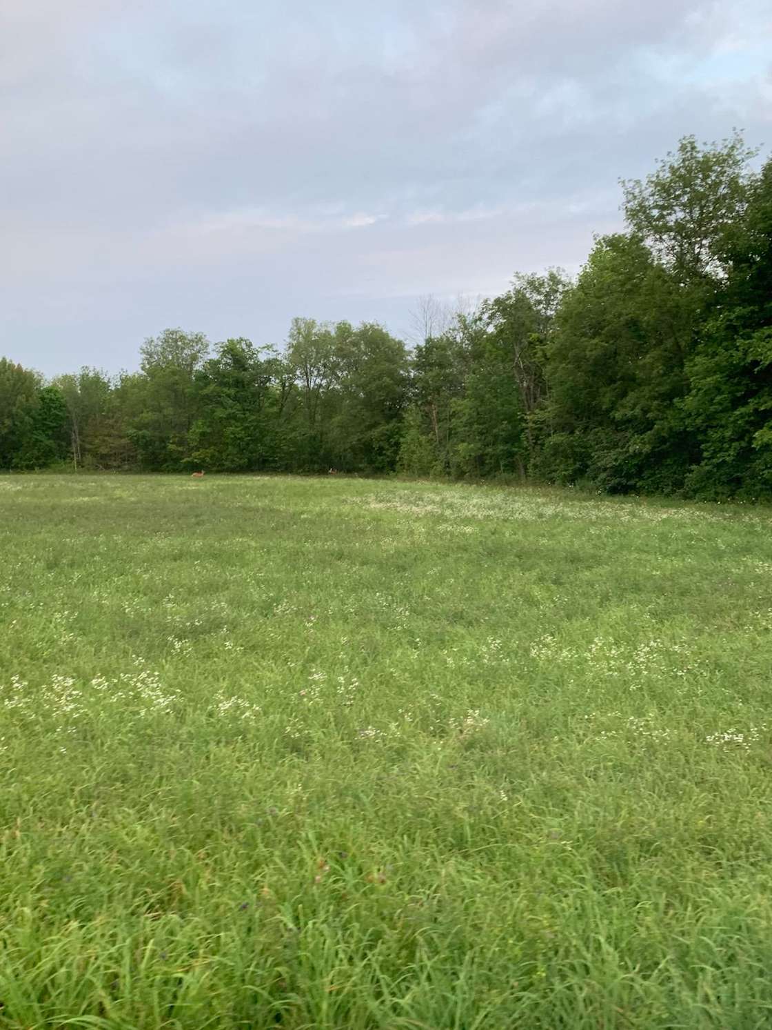 Starry Lane Farm Hipcamp in Campbellford, Ontario