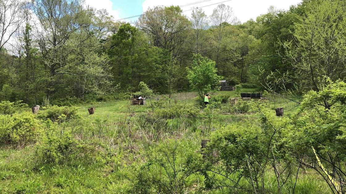 Bigfoot Hollow Paintball Park Hipcamp in Glouster, Ohio