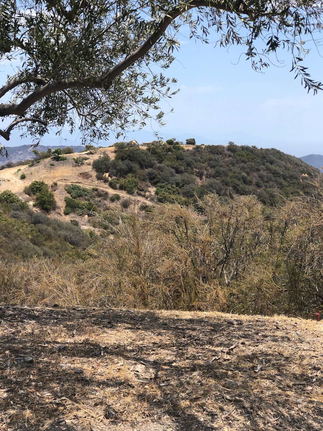 Mahan Kirn K.’s Land Hipcamp in Topanga, California