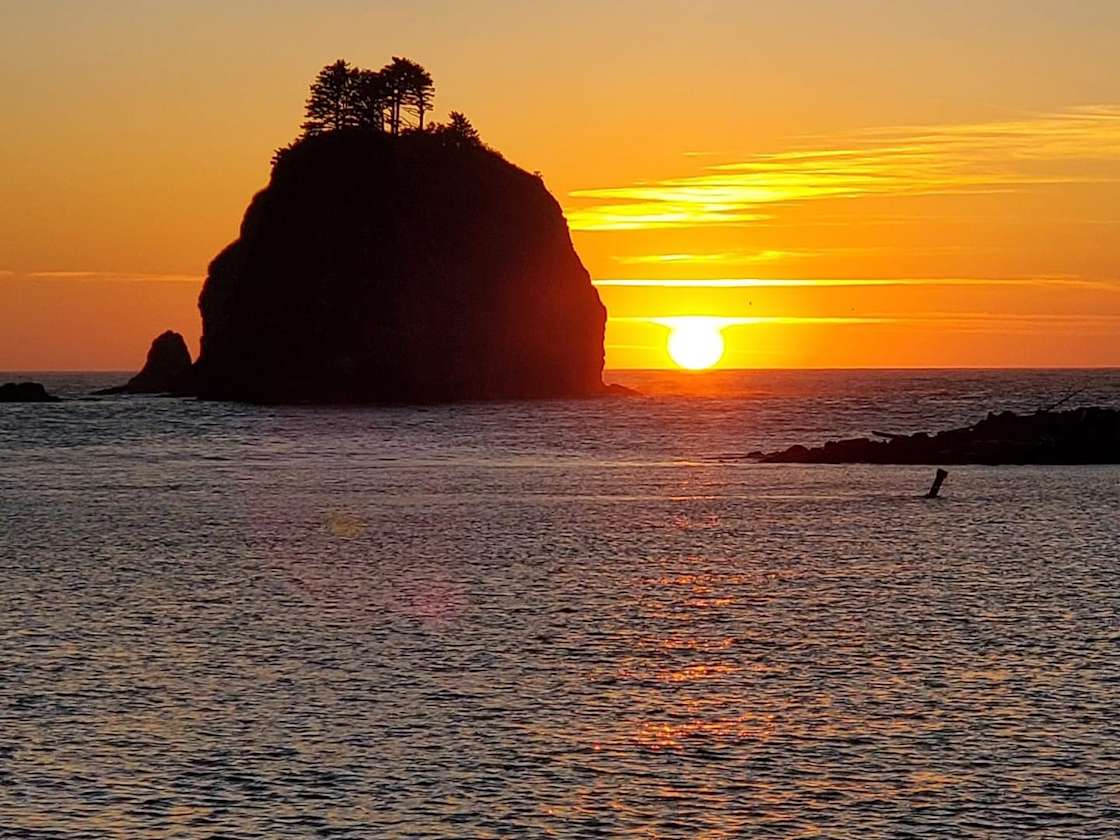 Quileute Coastal River Front Campin Hipcamp in Forks, Washington