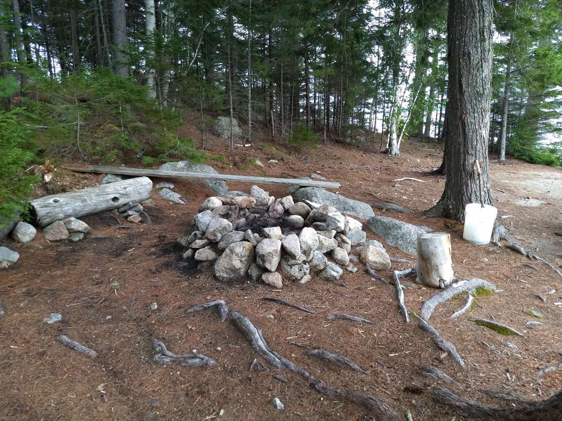 Loon Point Cabin and Camp Site Hipcamp in Millinocket Maine