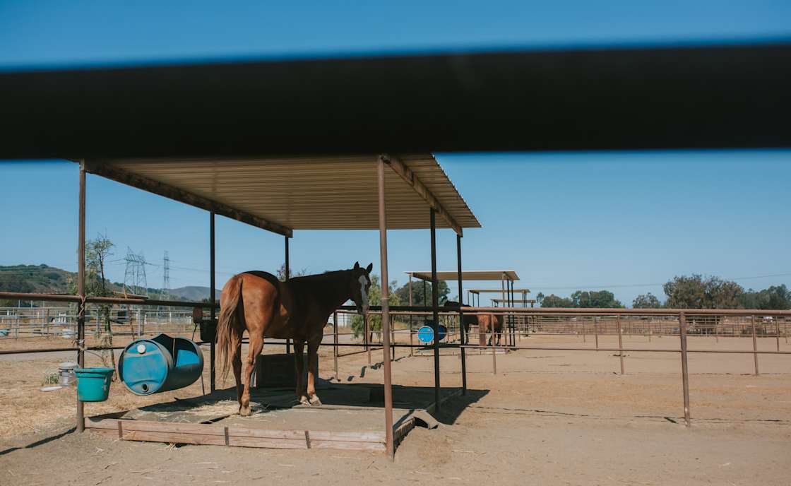 Organic farm and horse camp Hipcamp in Los Osos, California