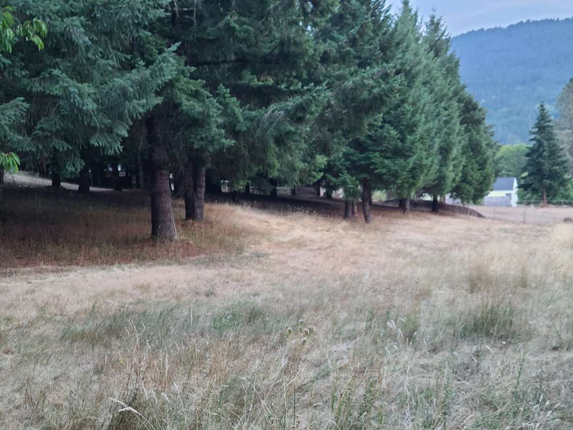 Hagg Lake Home Hipcamp in Gaston, Oregon