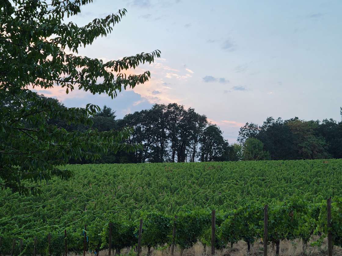 Hagg Lake Home Hipcamp in Gaston, Oregon