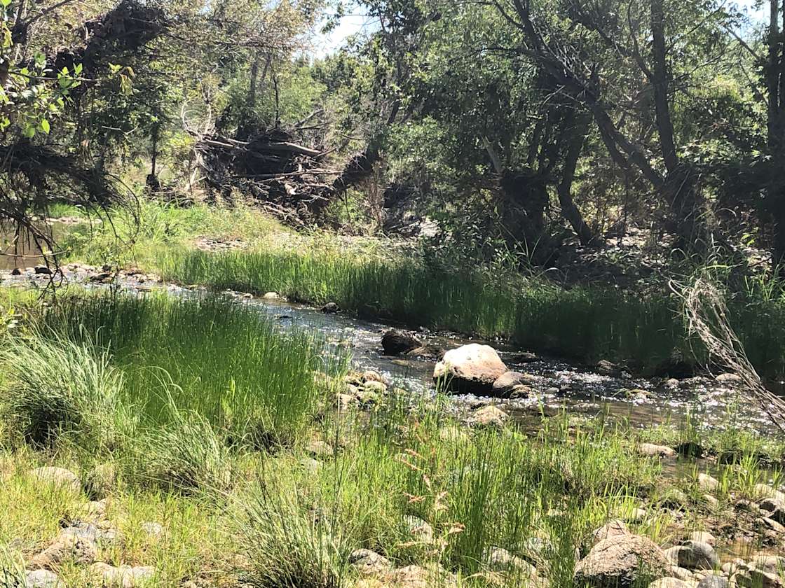 Beaver Creek Oasis - Hipcamp in Rimrock, Arizona