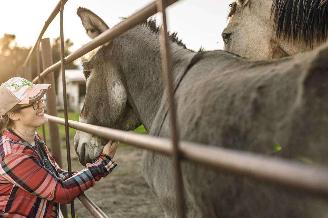Wilson Ranch Hipcamp in Colman, South Dakota