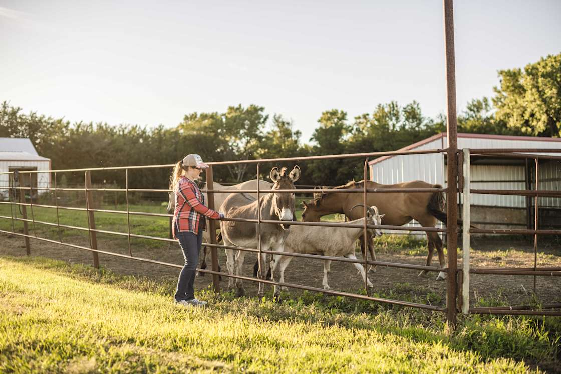 Wilson Ranch Hipcamp in Colman, South Dakota