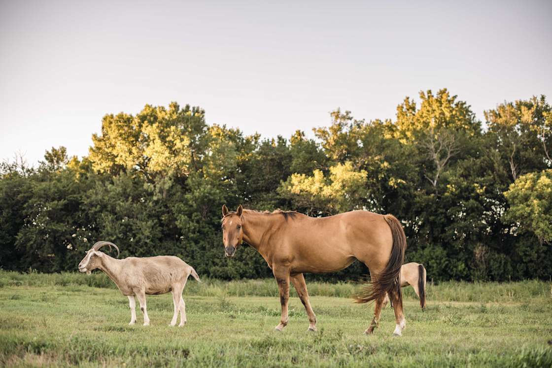 Wilson Ranch Hipcamp in Colman, South Dakota