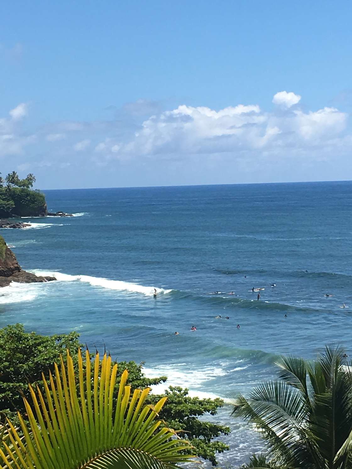 Forest Camp Hipcamp in Pahoa, Hawaii