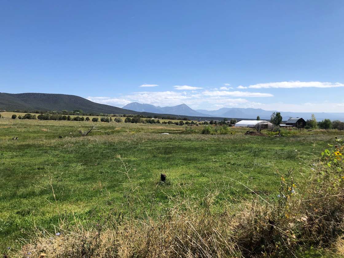 Cedar Springs Farm Hipcamp in Hotchkiss, Colorado