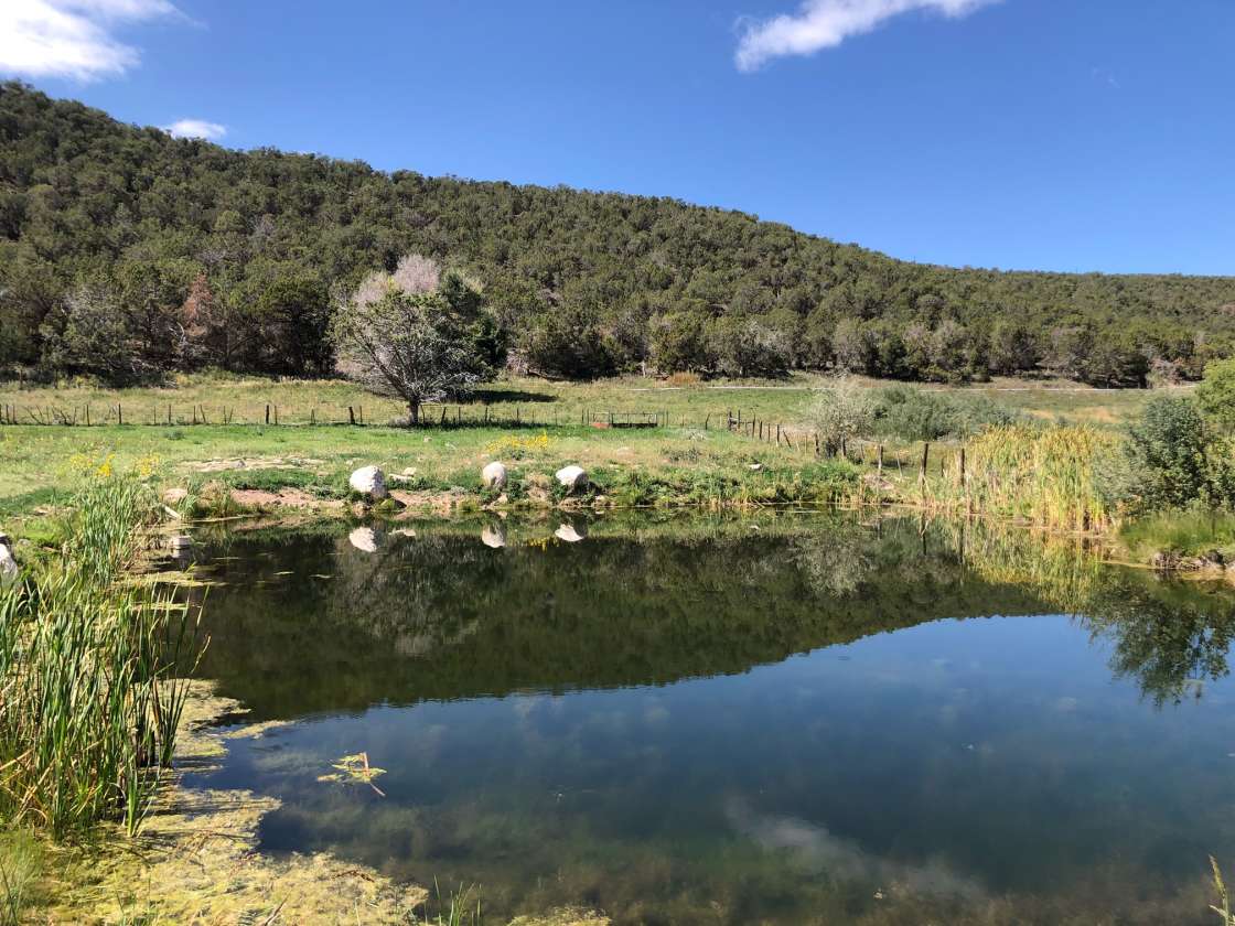 Cedar Springs Farm Hipcamp in Hotchkiss Colorado