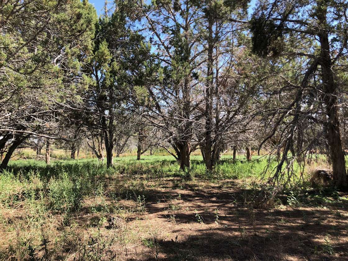 Cedar Springs Farm Hipcamp in Hotchkiss, Colorado