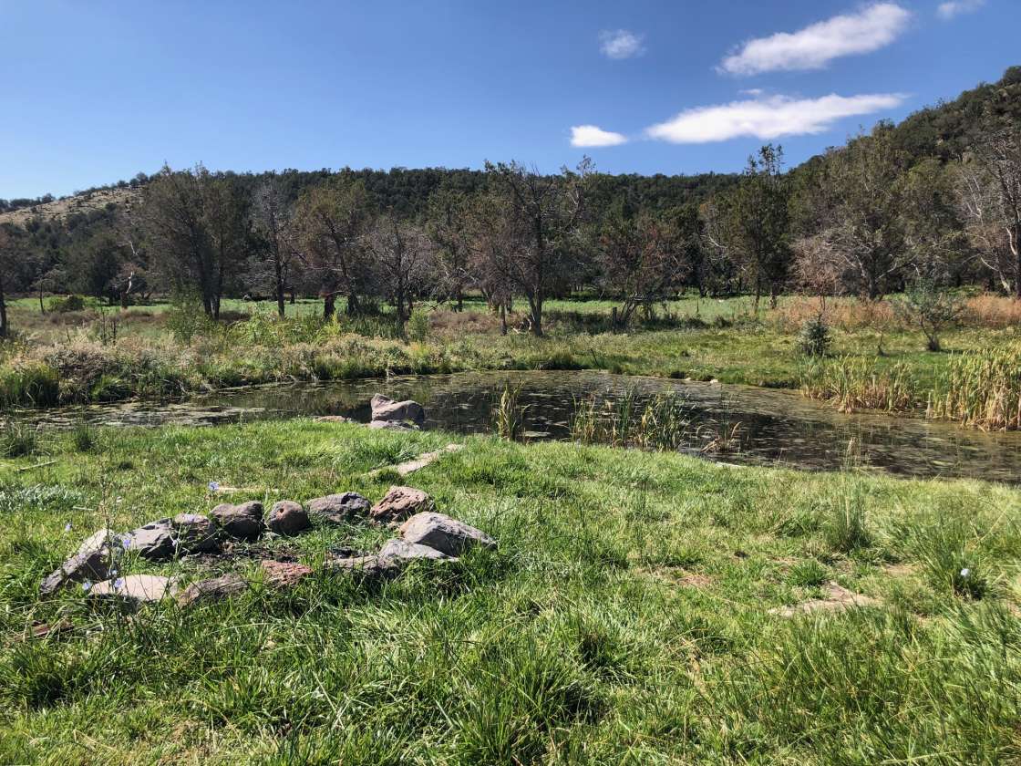 Cedar Springs Farm Hipcamp in Hotchkiss Colorado