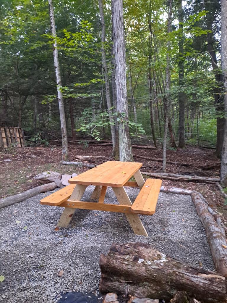 Forest Rock Campsite Hipcamp in Gilboa, New York