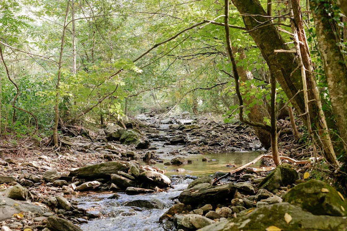 Reems Creek Retreat Hipcamp in Weaverville, North Carolina