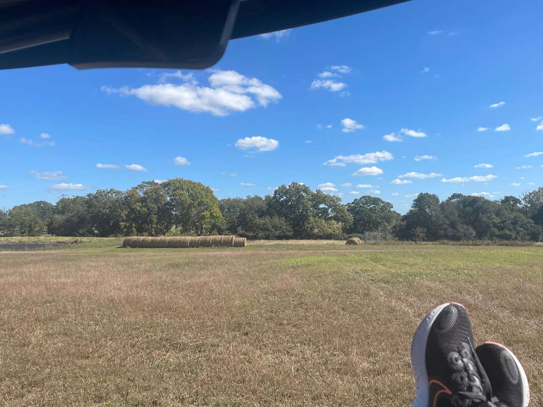 Schulenburg Prairie Hipcamp in Schulenburg, Texas