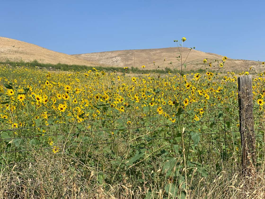 At Last Ranch Hipcamp in Payette, Idaho