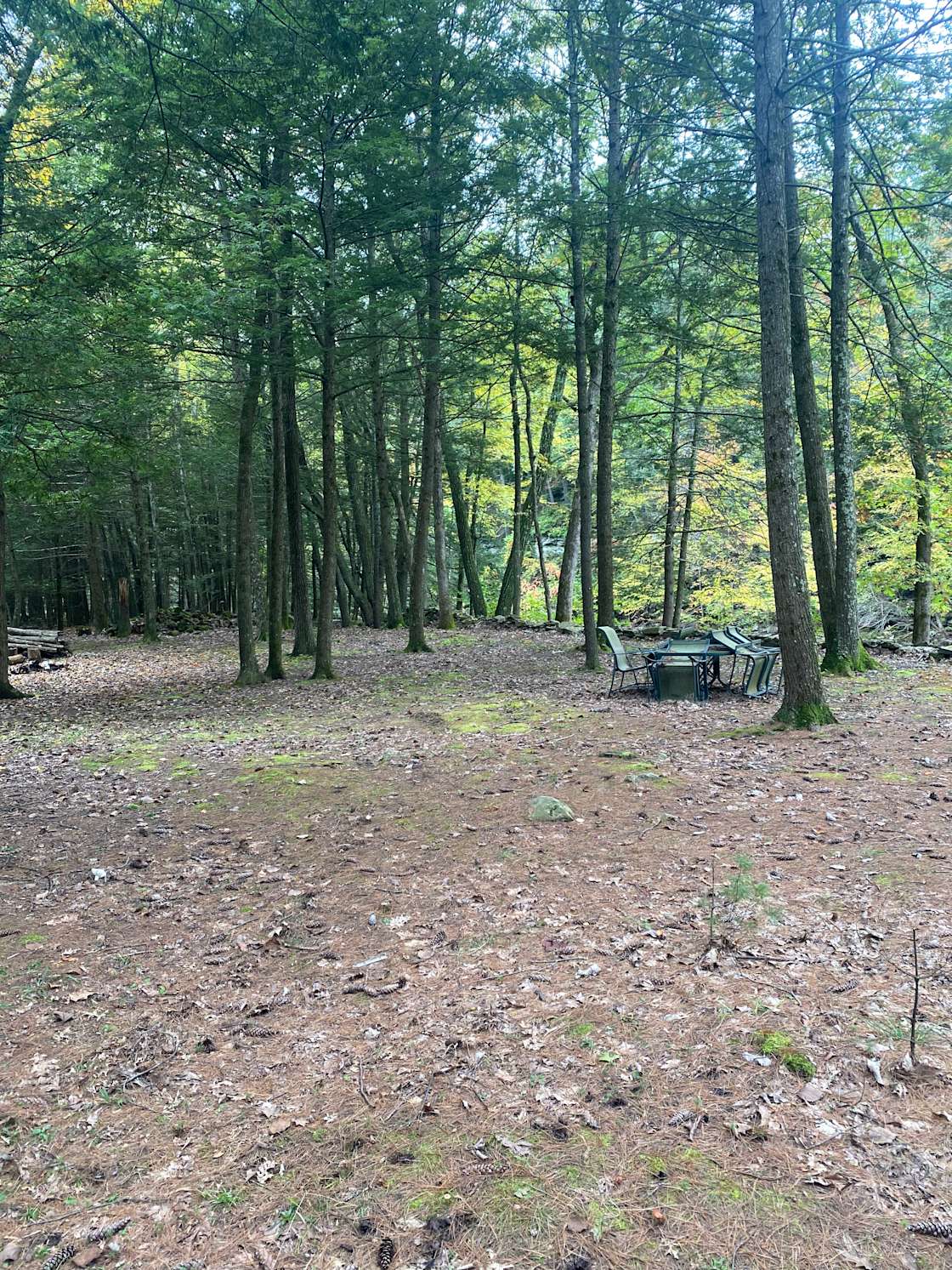 Brook’s Land Hipcamp in Palenville, New York