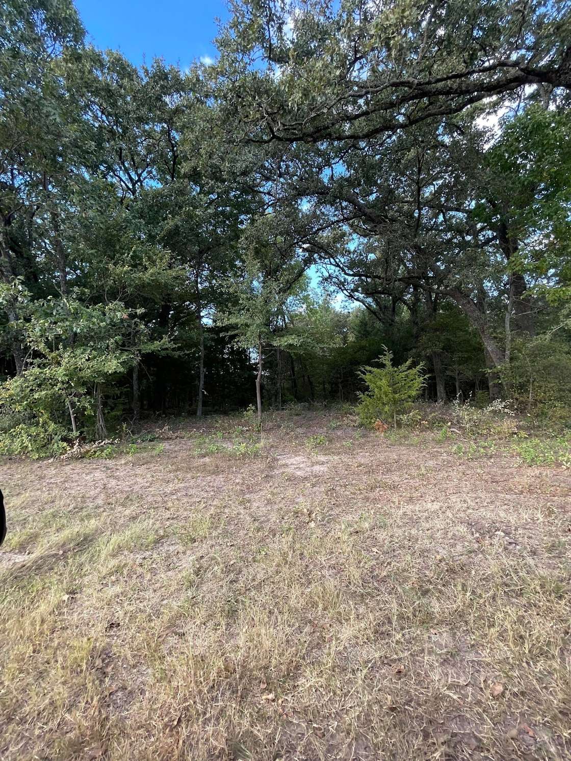 Lake Tawakoni Farm Hipcamp in East Tawakoni, Texas