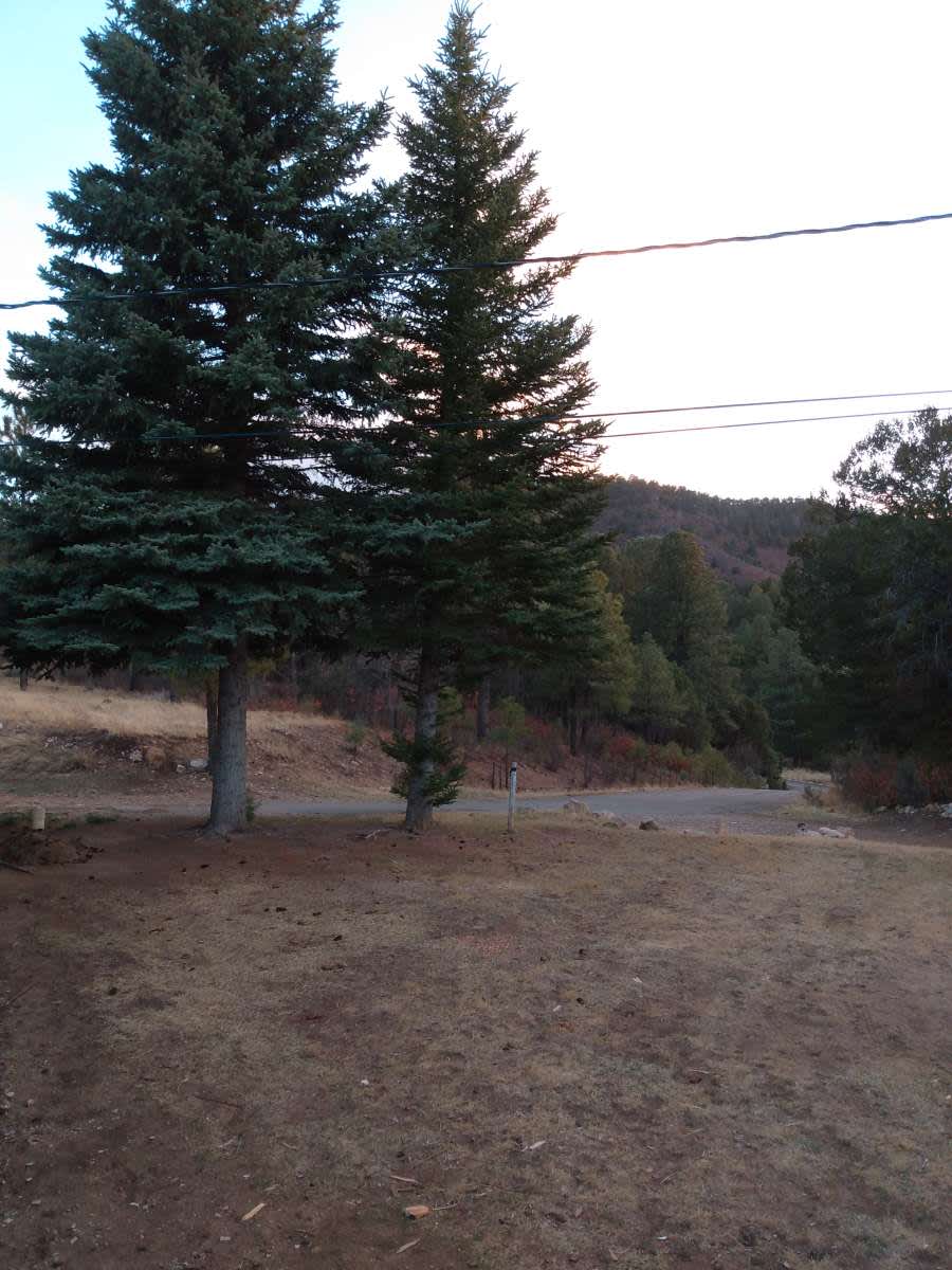 Sugarhill Campgrounds🐞🙏 Hipcamp in Mescalero, New Mexico