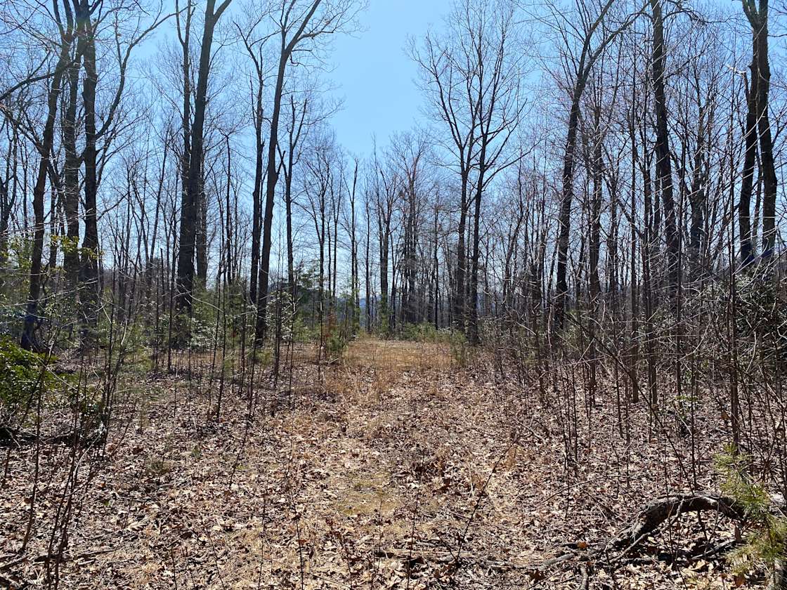 Camping near outlet old rag