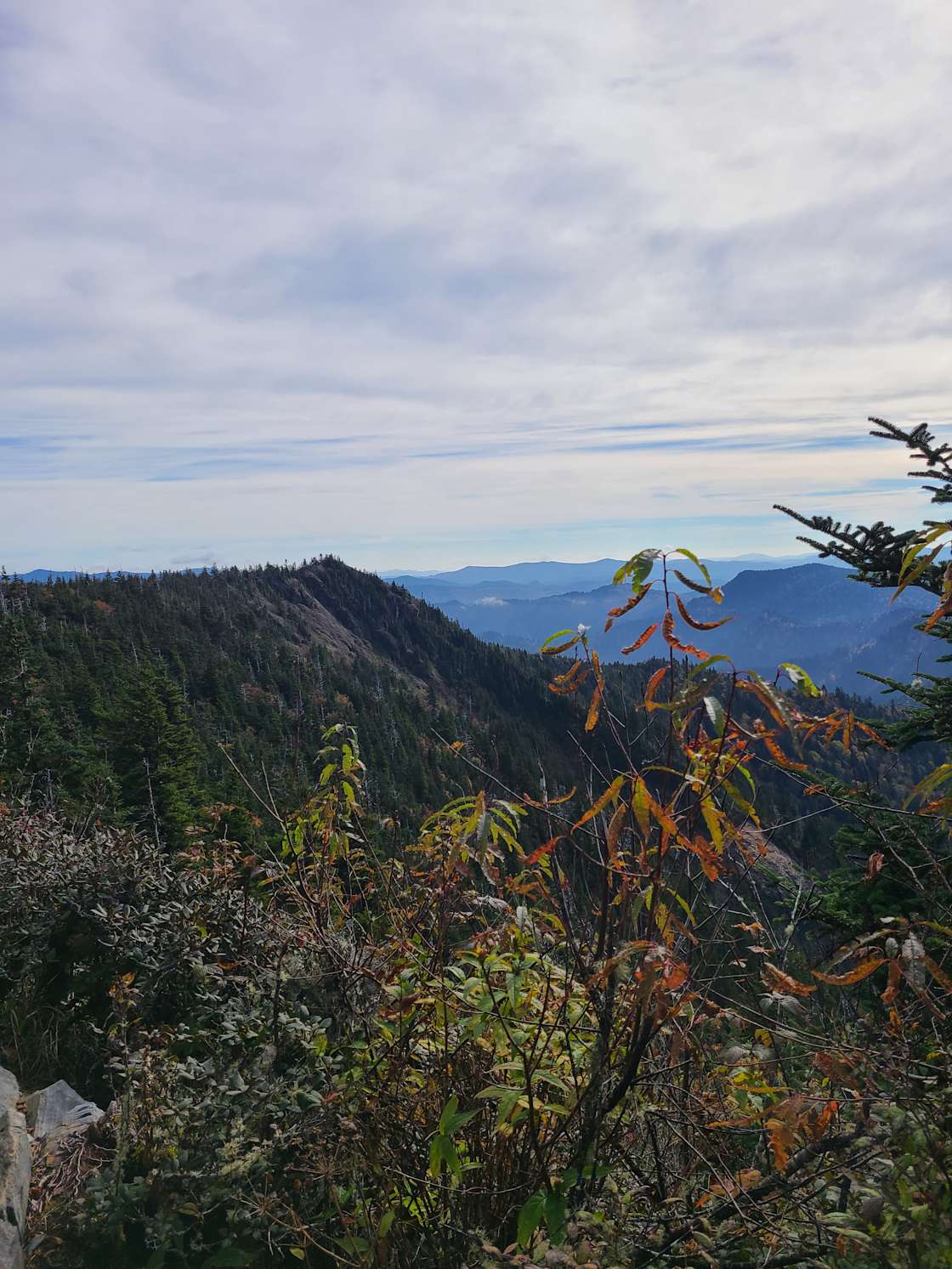 Conleys Creek Campground Hipcamp in Whittier, North Carolina