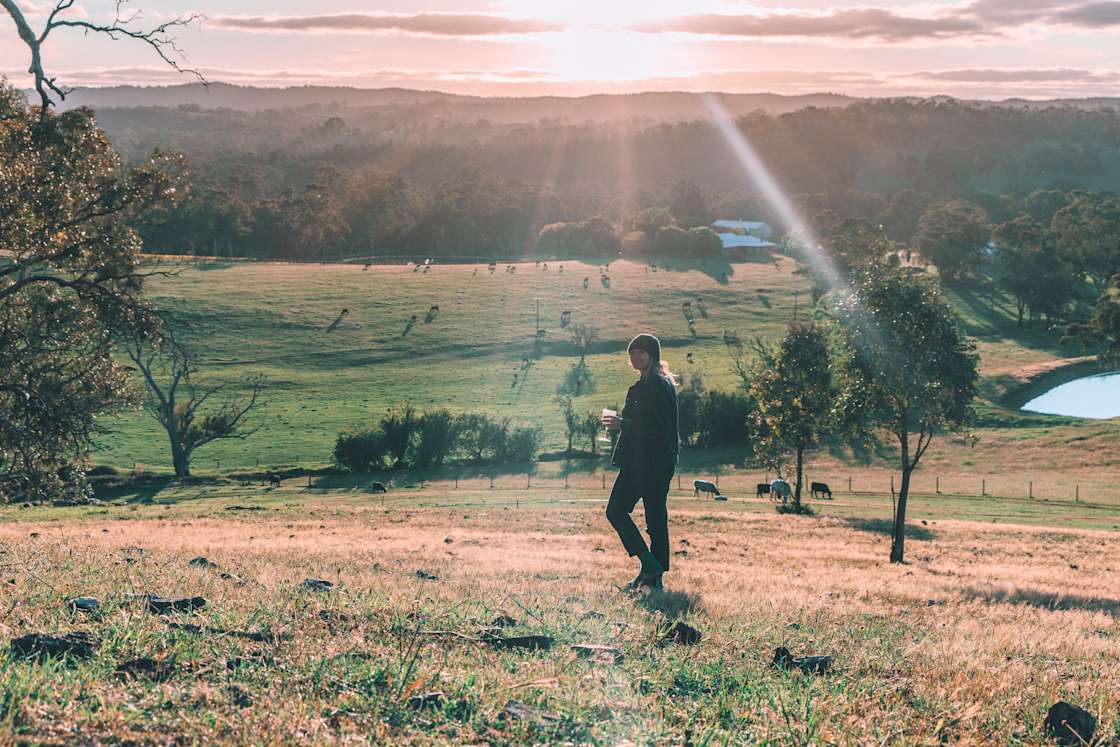 Banyula Park Hipcamp in Kersbrook, South Australia