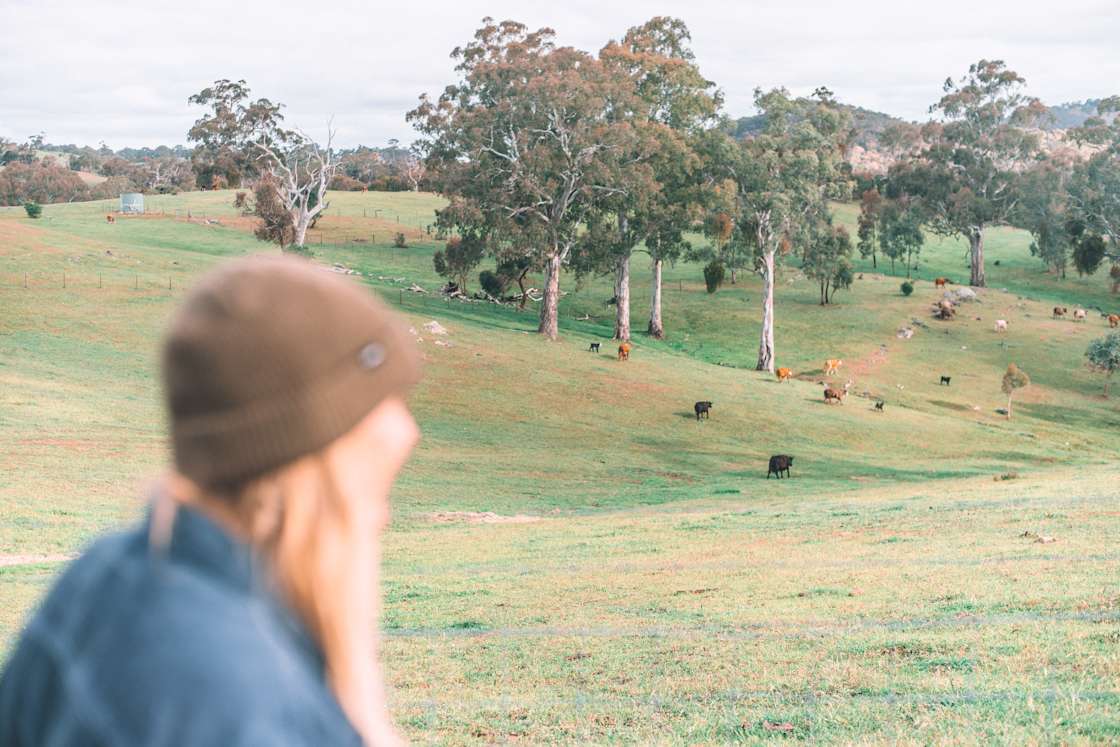 Banyula Park Hipcamp in Kersbrook, South Australia