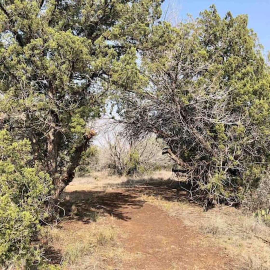 Cottonwood Creek Cabins -Alpine, TX - Hipcamp in Alpine, Texas