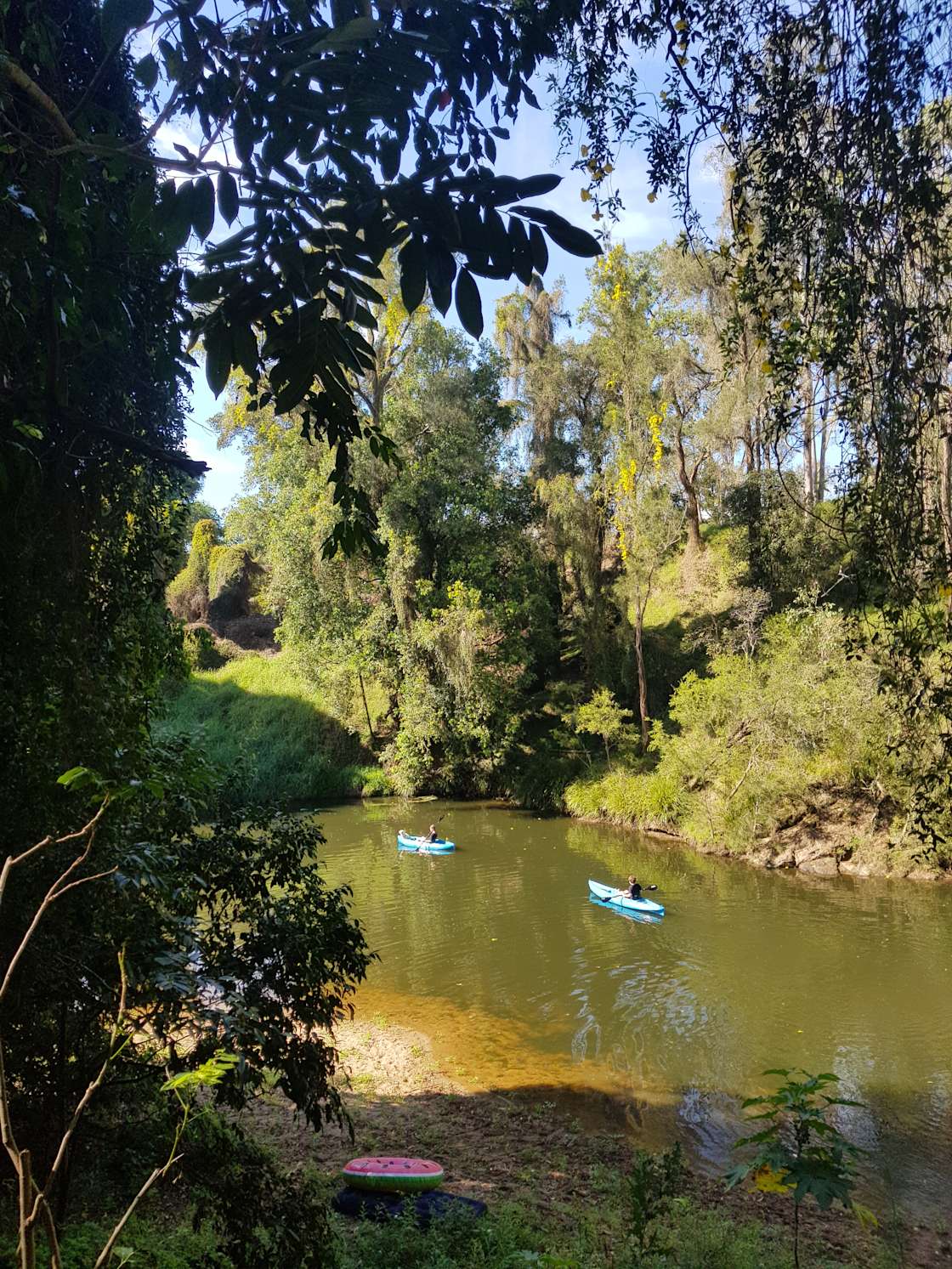 Kenilworth Free Range Farm Hipcamp in Moy Pocket, Queensland