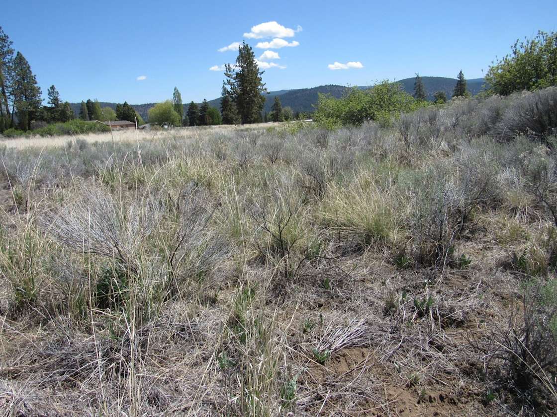 Peaceful Camping Site Fishing Hipcamp in Chiloquin, Oregon