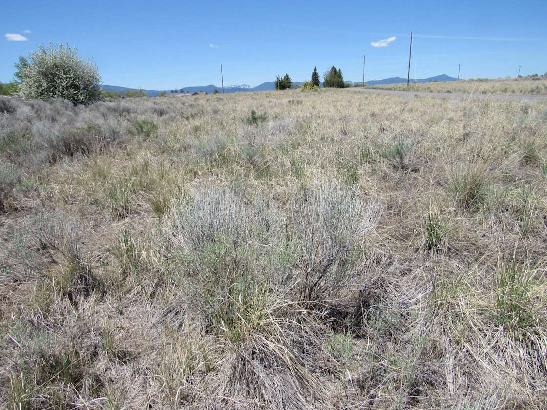 Peaceful Camping Site Fishing Hipcamp in Chiloquin, Oregon