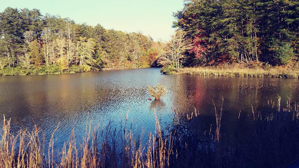 Jack Rabbit Lake Hipcamp in Lawsonville, North Carolina