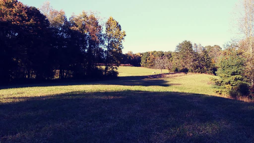 Jack Rabbit Lake Hipcamp in Lawsonville, North Carolina