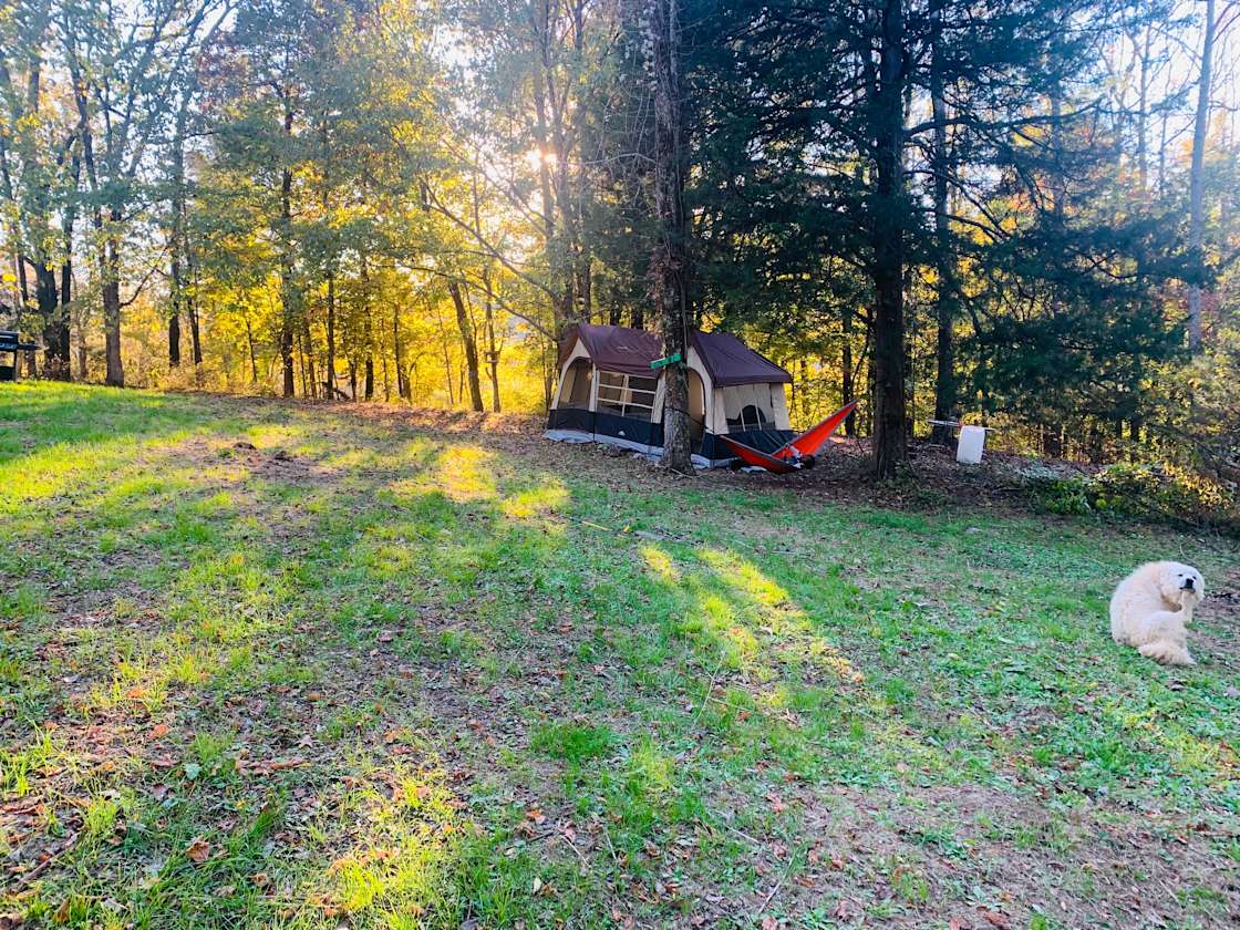 Big Sky Lodge site 1 THE HEAL Hipcamp in Ardmore, Tennessee