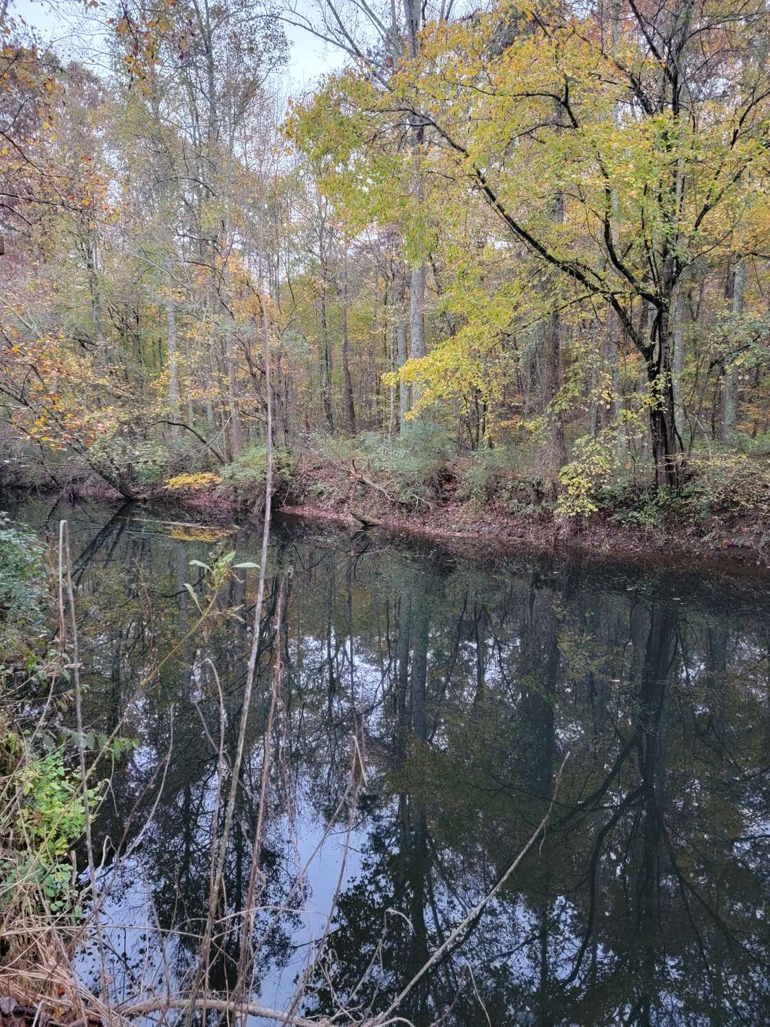 Backforty Campground Hipcamp in Flat Rock, Alabama