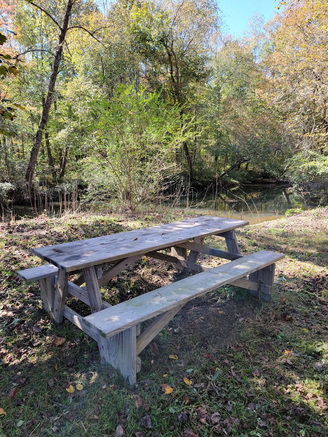 Backforty Campground Hipcamp in Flat Rock, Alabama