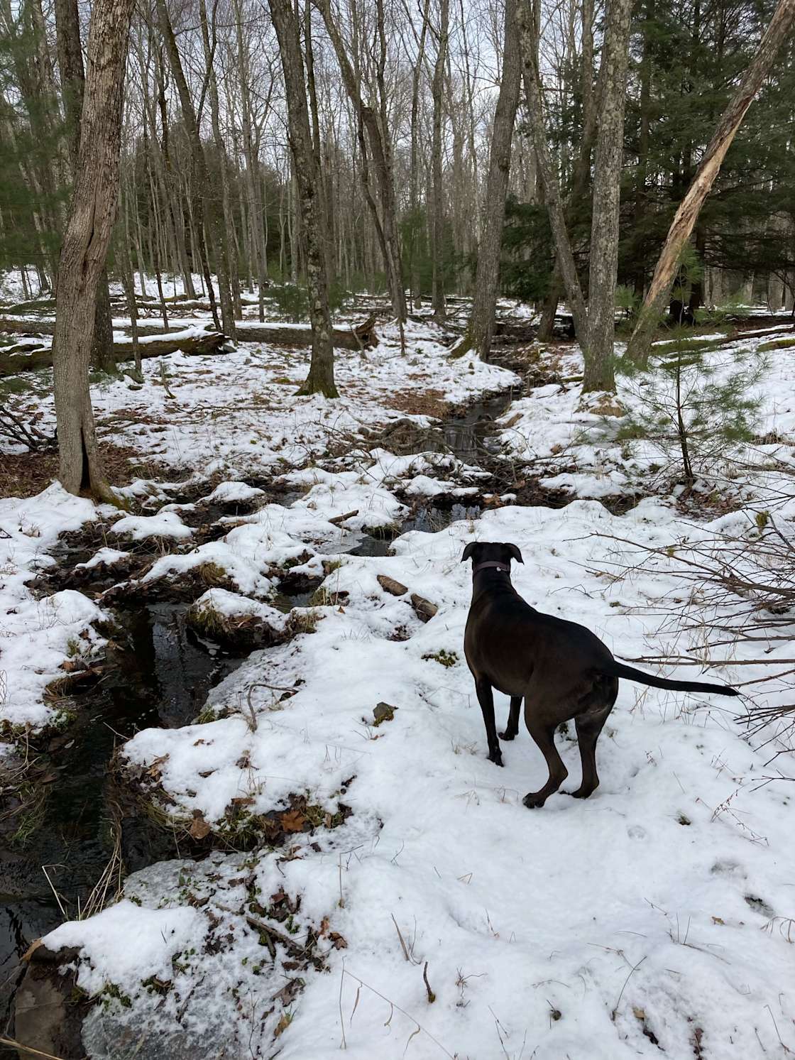 Eldred Manor Hipcamp in Eldred, New York