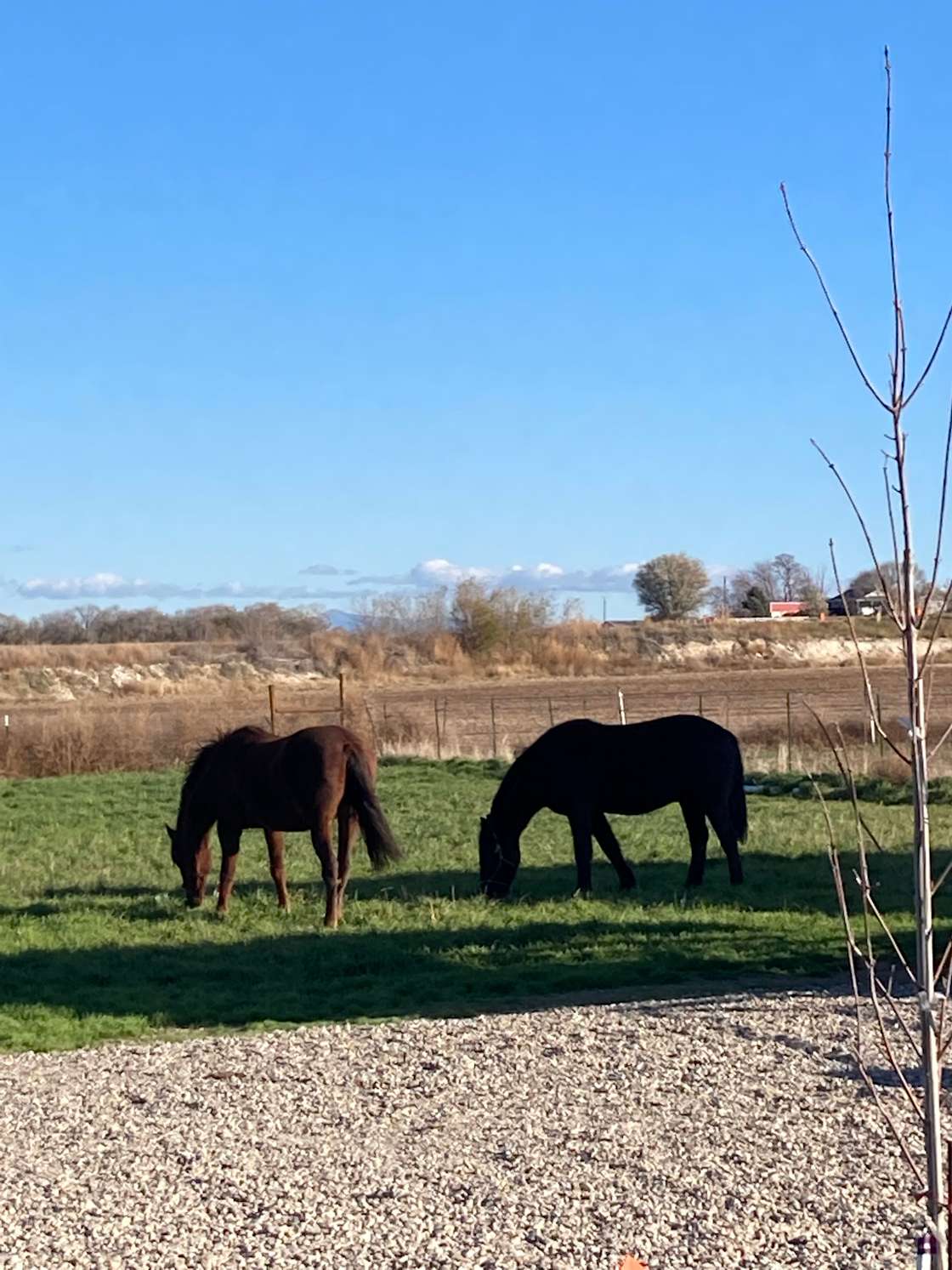 Kingswood Ranch Hipcamp in New Plymouth, Idaho