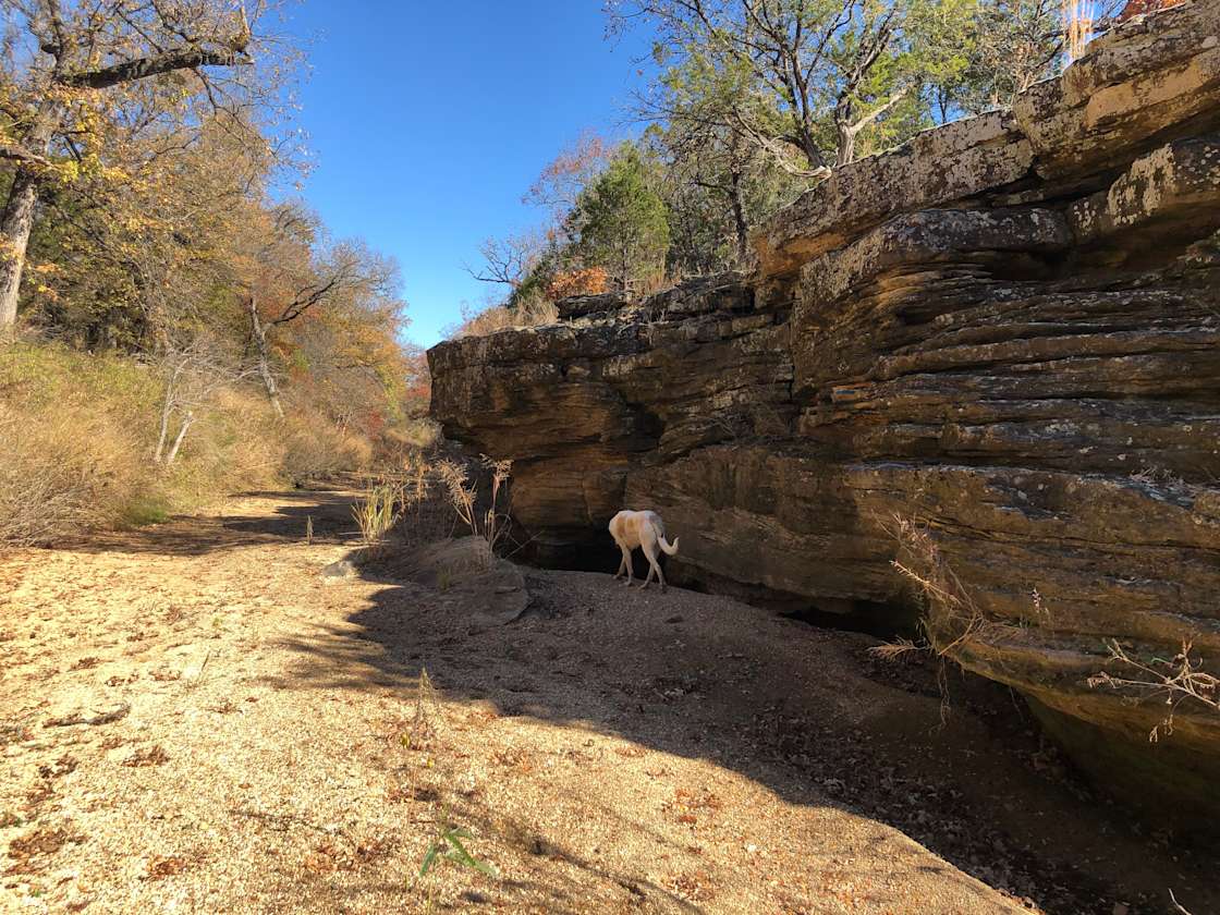 Red Feather Ranch & Trails Hipcamp in Jacksboro, Texas