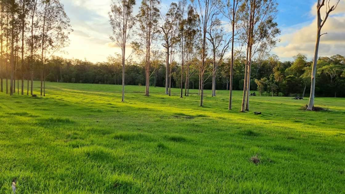 Nyima at Bauple Mountain Hipcamp in Bauple, Queensland