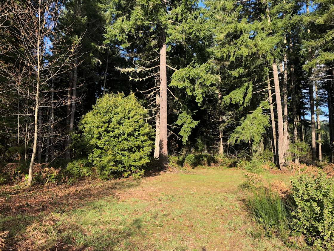 Lorane Beach Club Hipcamp in Lorane, Oregon