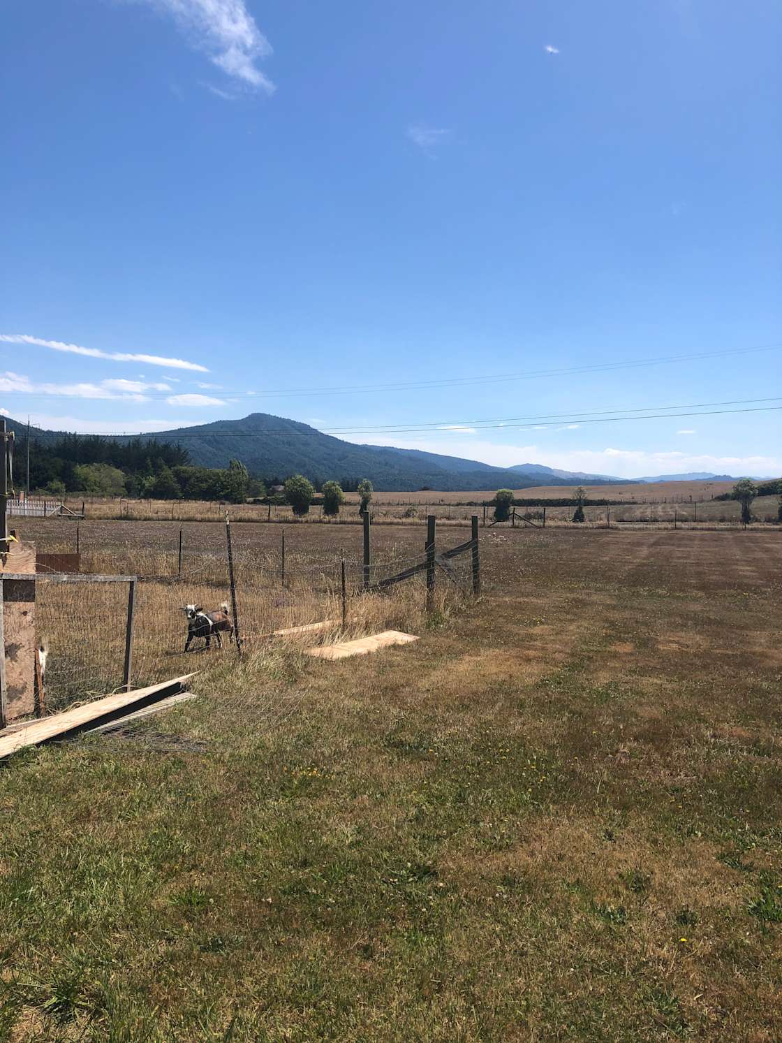 Highway 101 Haven Hipcamp in Hydesville, California