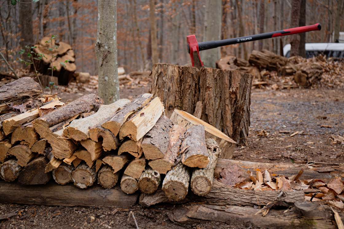 Harmony Tree Farm Hipcamp in Rixeyville, Virginia