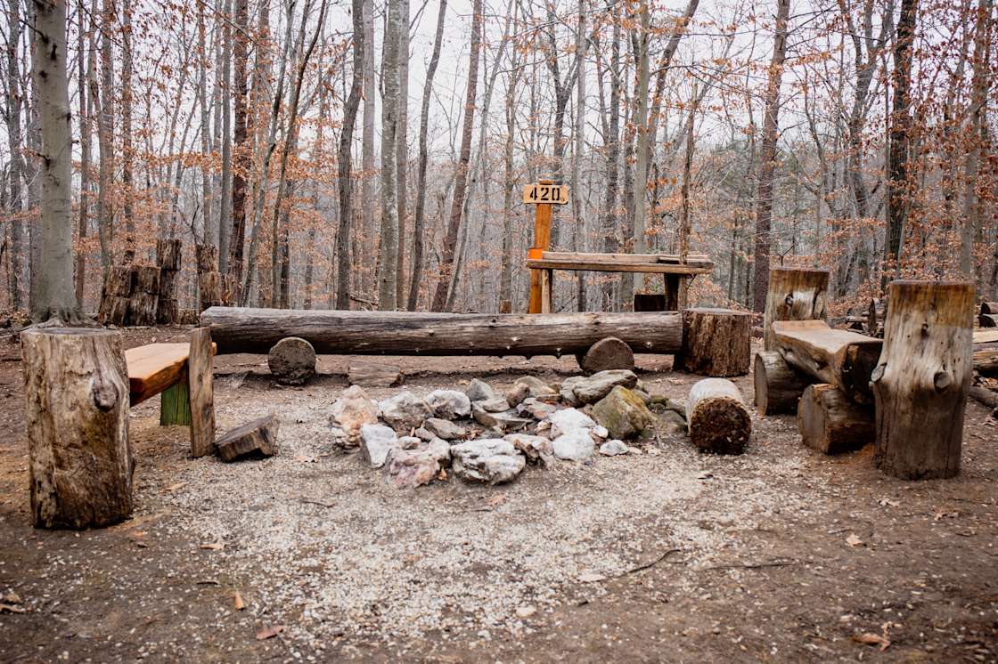 Harmony Tree Farm Hipcamp in Rixeyville, Virginia