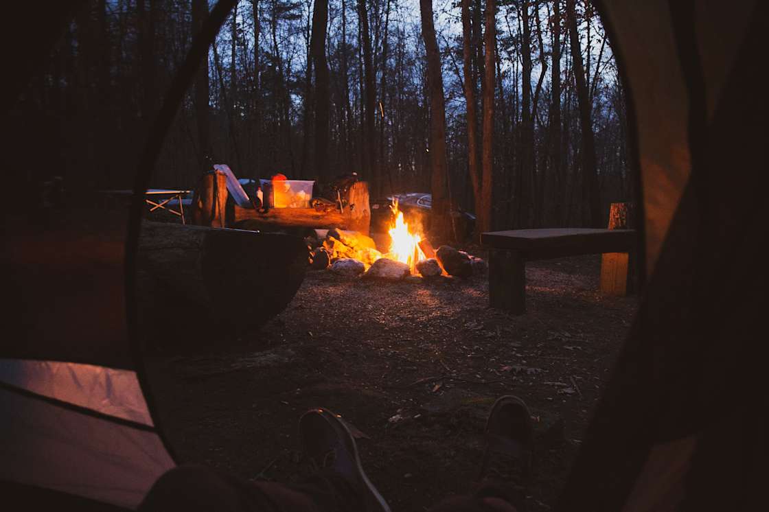 Harmony Tree Farm Hipcamp in Rixeyville, Virginia