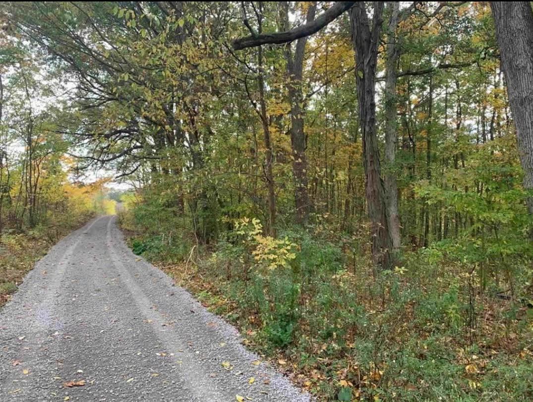 Loon lake forest retreat - Hipcamp in Tri Lakes, Indiana